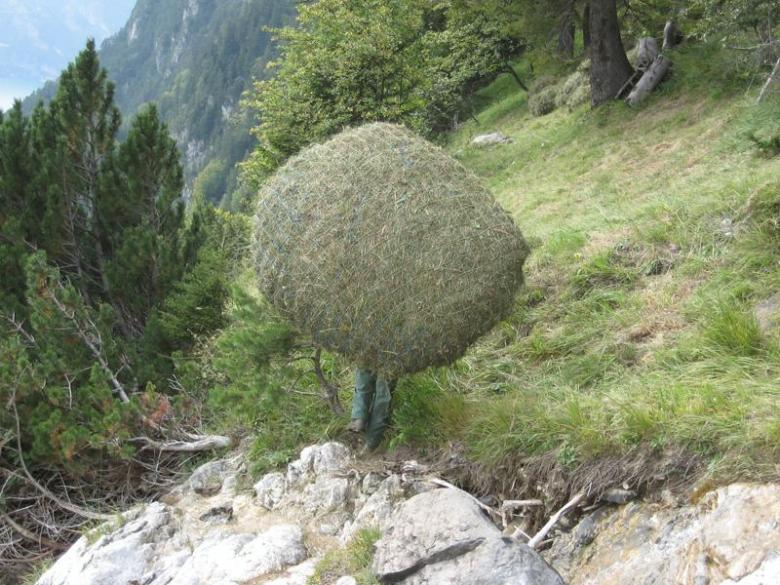 Wild hay © Luzern Tourismus