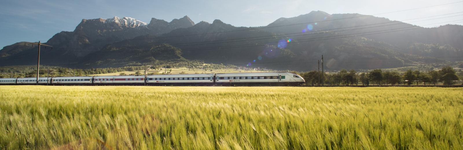 Un tren atraviesa los campos suizos