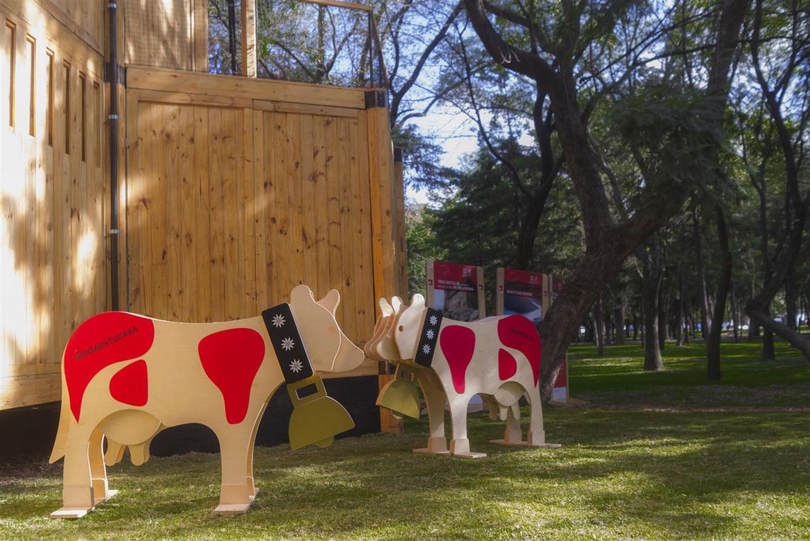 Überdimensionale Happy-Lilly-Kühe © Pedro Cerisola