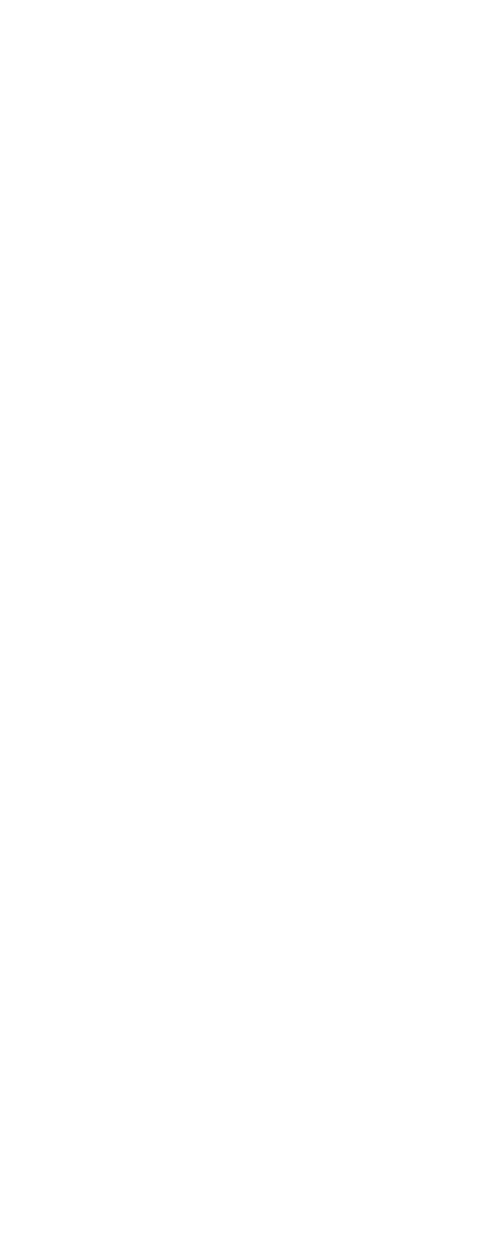 infografia carnaval