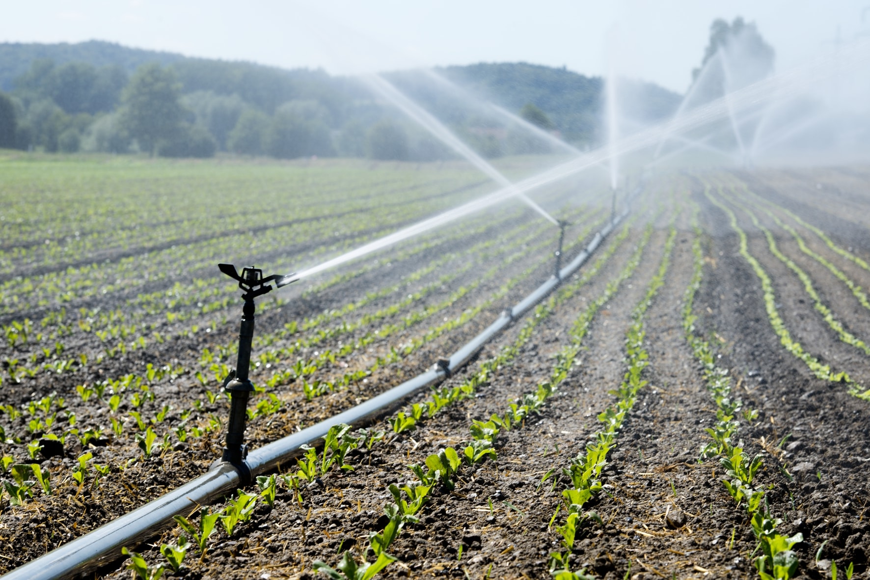 irrigation system