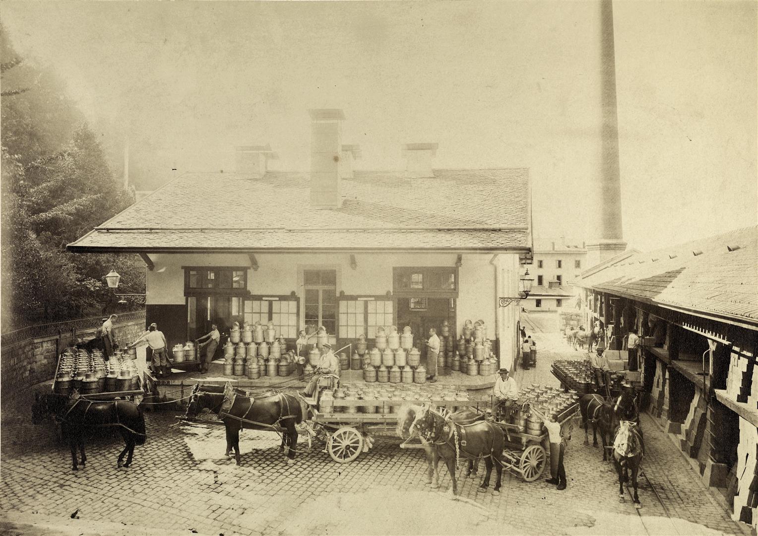 Milch wird von lokalen Bauern auf das Fabrikgelände geliefert, um 1900.