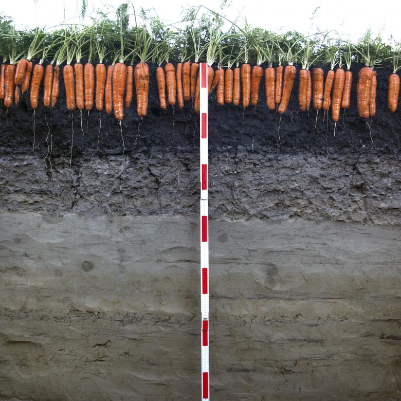 90% de nos aliments sont issus de la terre © Agroscope, Gabriela Brändle