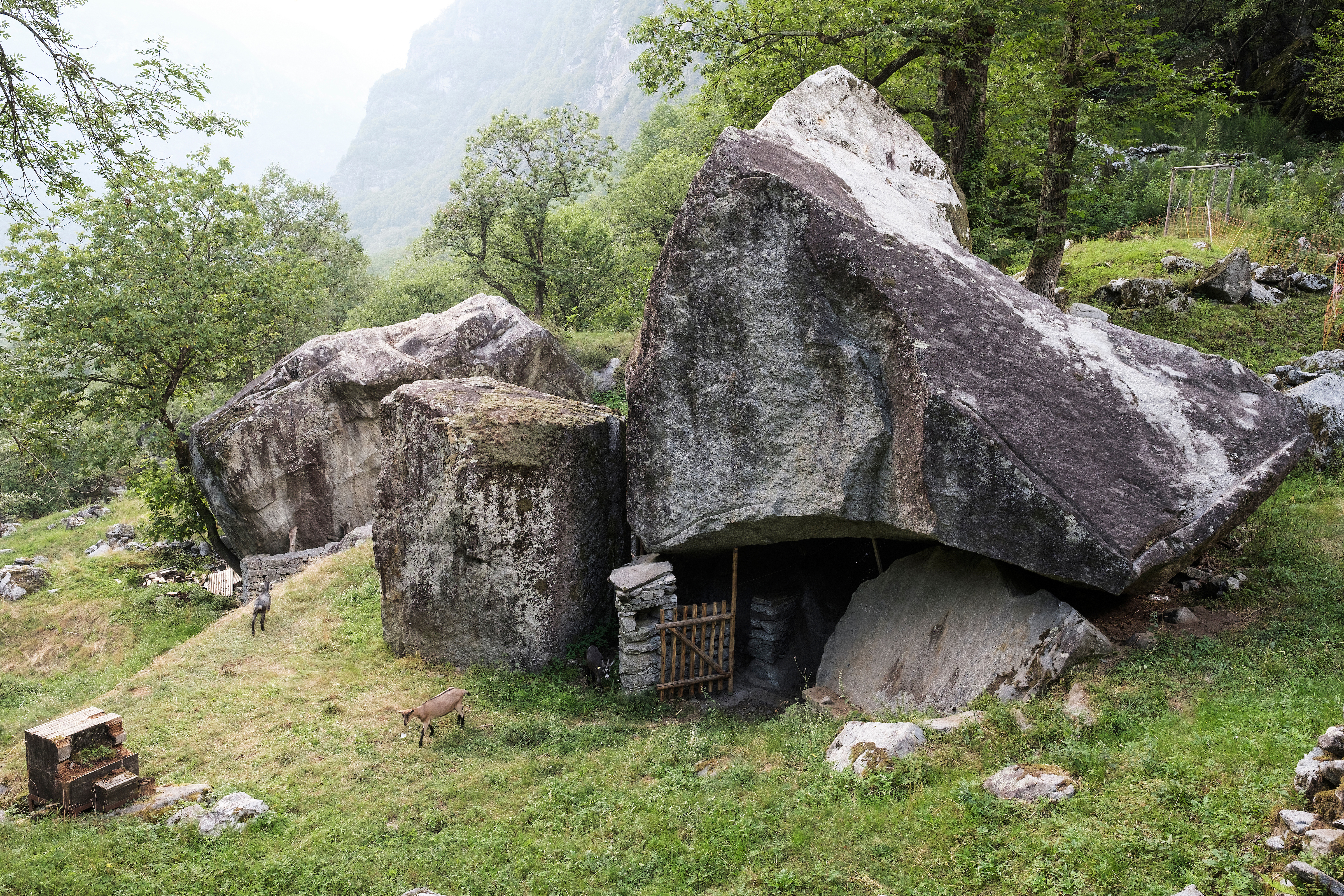 Une économie pastorale s’est développée dans le val. © Claudio Bader