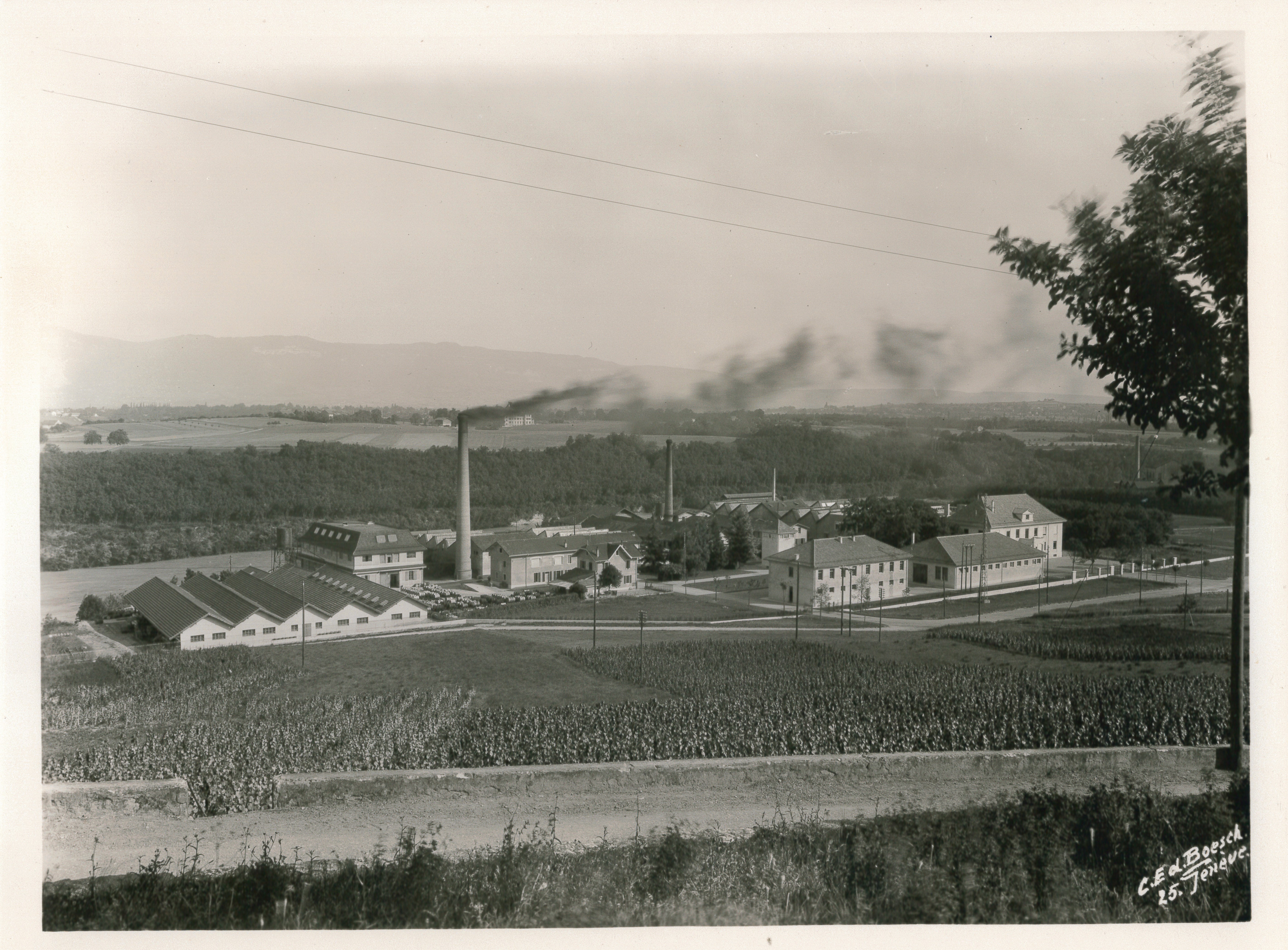 Sito di Givaudan a Vernier, intorno al 1935, fotografato da Charles Edouard Boesch. ©️ archivi di Givaudan