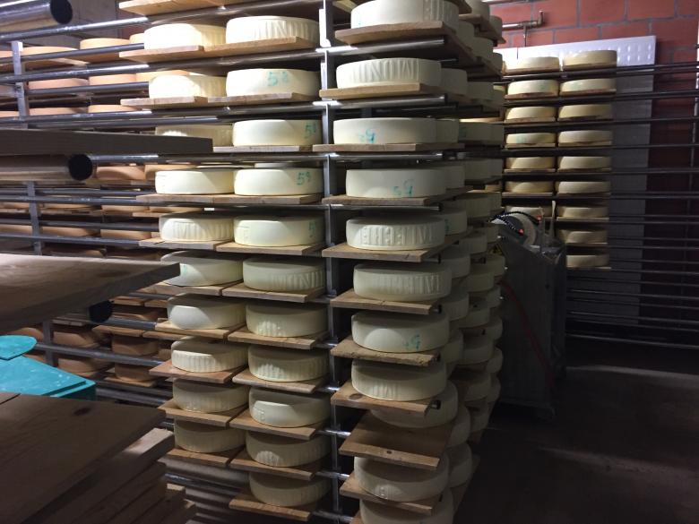 Cheese stacked in cellar