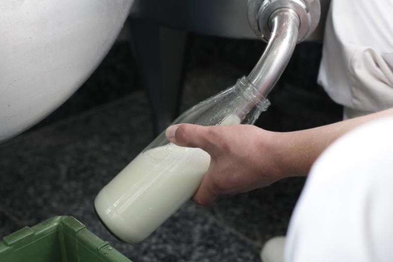 La leche suiza es cada vez más « limpia ». Gracias a las culturas bacterianas de Agroscope se conserva la biodiversidad. © Gruyère AOP