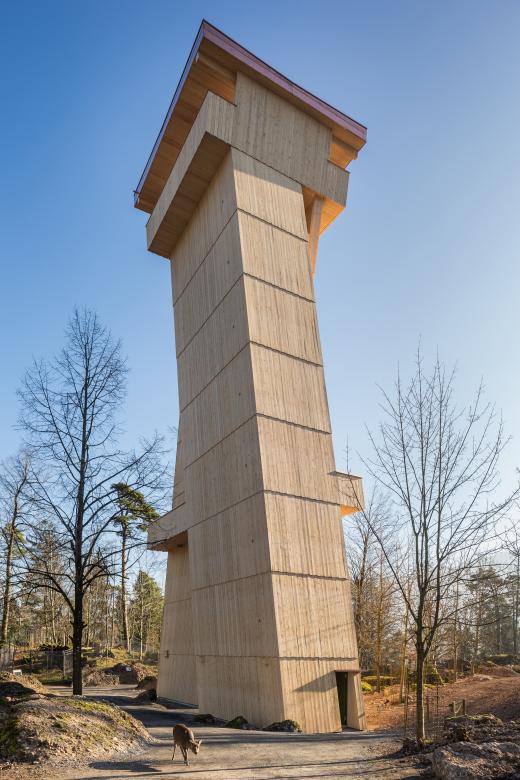 La tour en bois de 30 mètres accueille les animaux comme les êtres humains. Les visiteurs utilisent l’escalier tandis que les oiseaux investissent les nichoirs placés sur les parois extérieures. Les écureuils escaladent l’édifice et les cigognes nichent sur son toit.