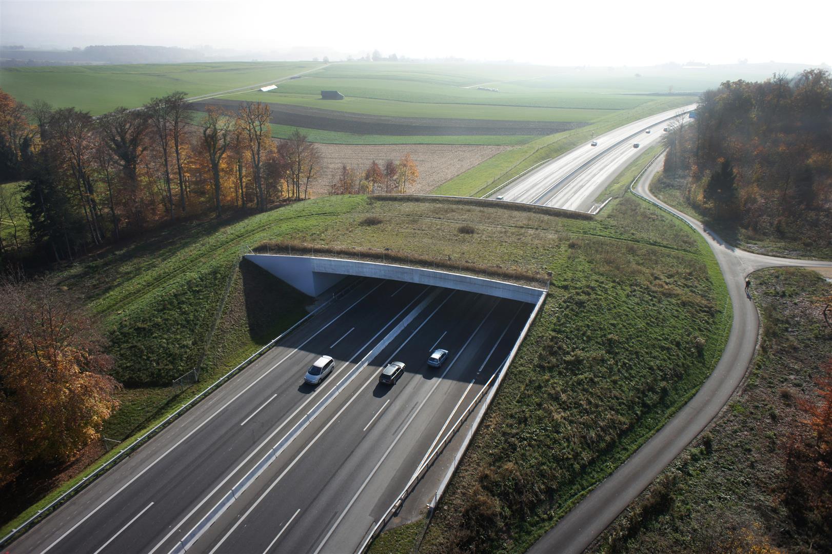 autopista suiza