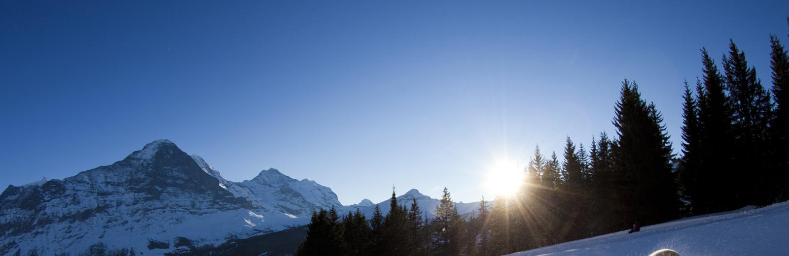 Luge Grindelwald © grindelwaldbus – David Birri