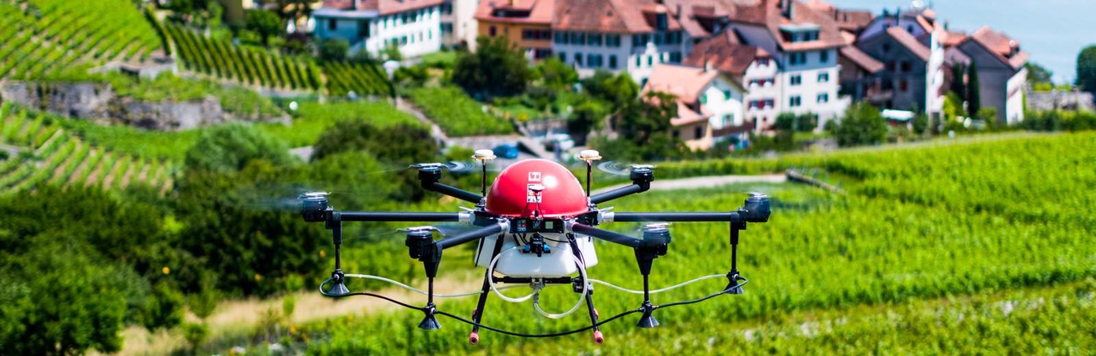 Crop-spraying drone flying above Swiss vineyard