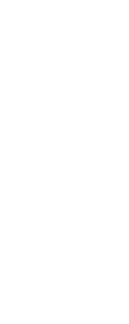 Infographie Carneval 