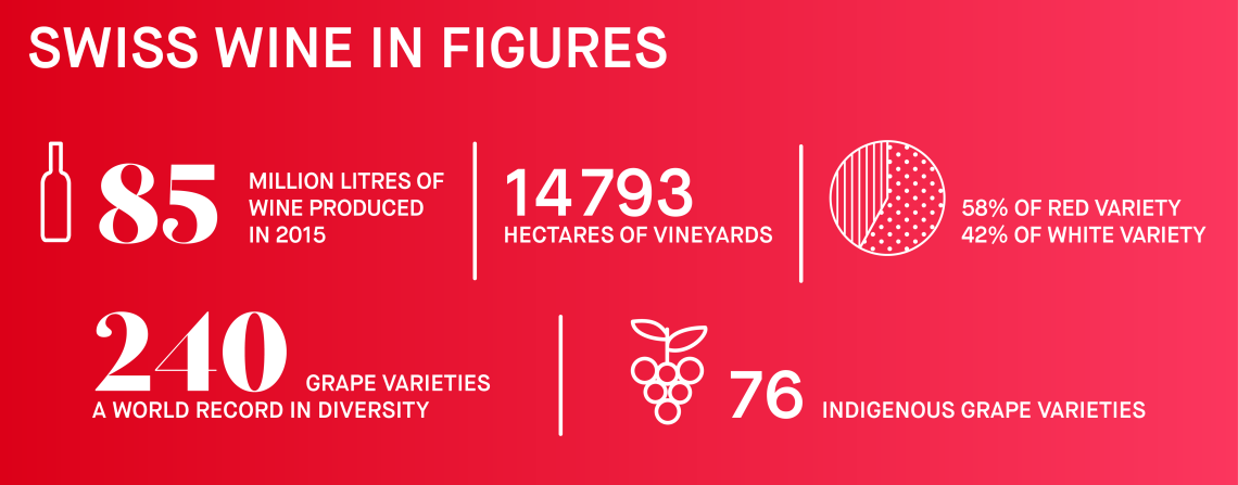 Infographic Swiss Wines
