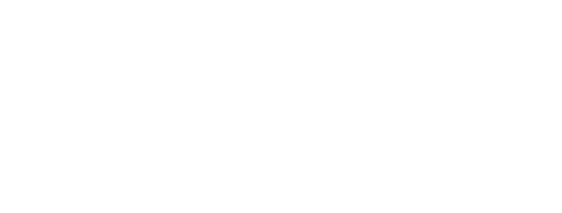 infografica 10 fatti insoliti sulla Svizzera