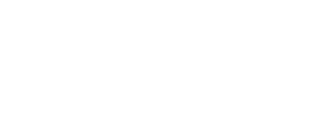Swiss Floorball Infographic