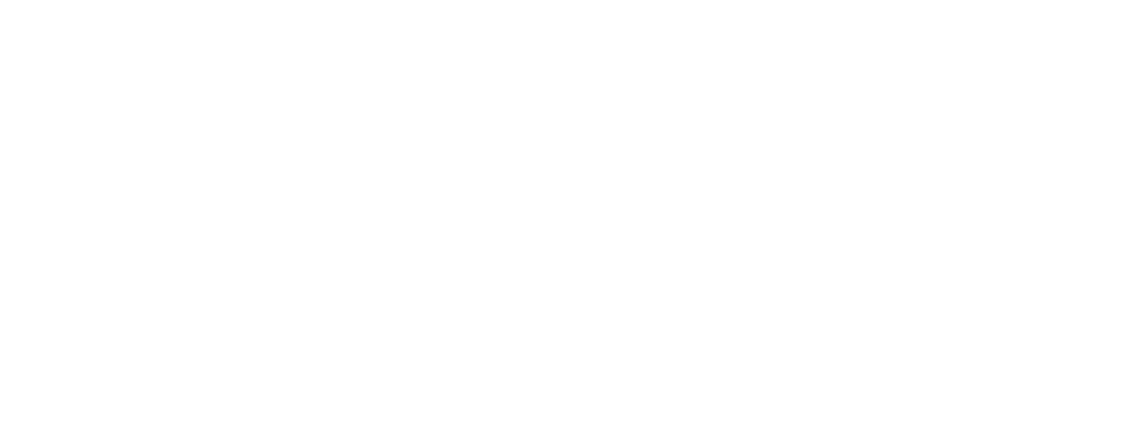 Suisse Floorball Infographie