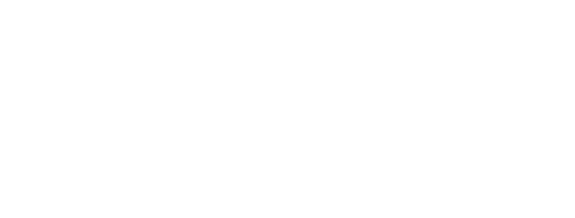 Svizzera Floorball Infografia