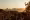 7K6A2042.jpg