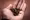 plant.jpg