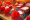Swiss-Tigerfinkli-Slippers1.jpg