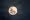 moon landing cover image swiss story.png