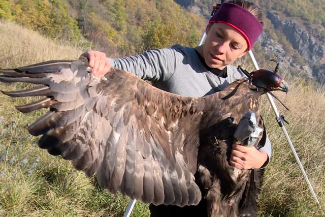 21-Aigles-PACKAGE-1616_C90012ZS_00-01-16.15.jpg