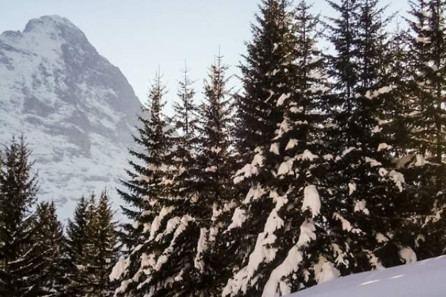 Header_Eiger_Grindelwald (Small).png