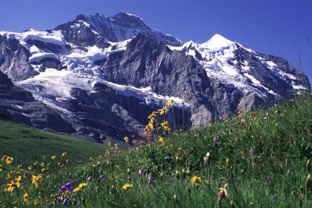 Swiss_Jungfrau_mountains[1] (Large).jpg