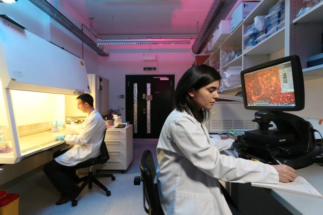 EPFL lab