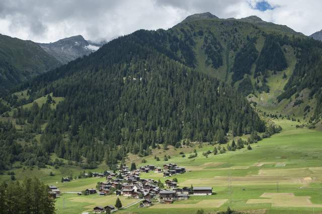 Bannwald_F.Bertschinger.jpg