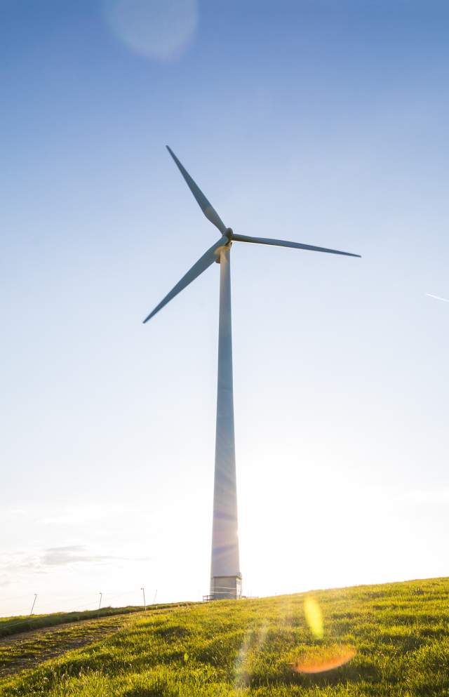 _wind-power-2244138_1920.jpg