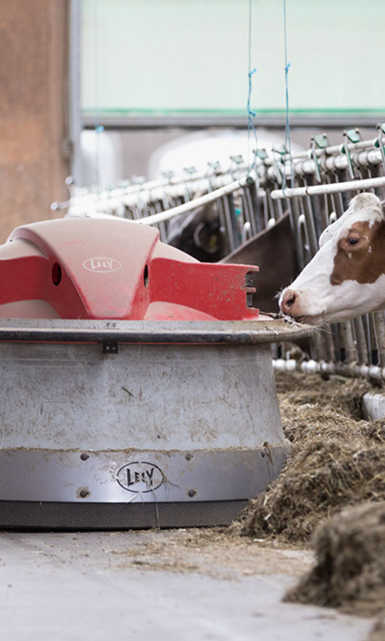 Ce robot repousse-fourrage connecté permet de nourrir constamment les vaches et soulage l’agriculteur d’une tâche répétitive. ©KEYSTONE Gaëtan Bally
