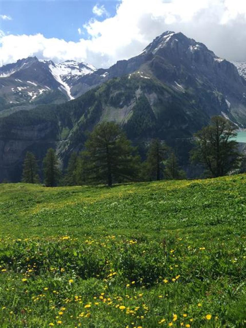 L’alpage de la famille Mudry se trouve au-dessus du barrage du Rawyl et du lac de Zeuzier près d’Anzère en Valais.