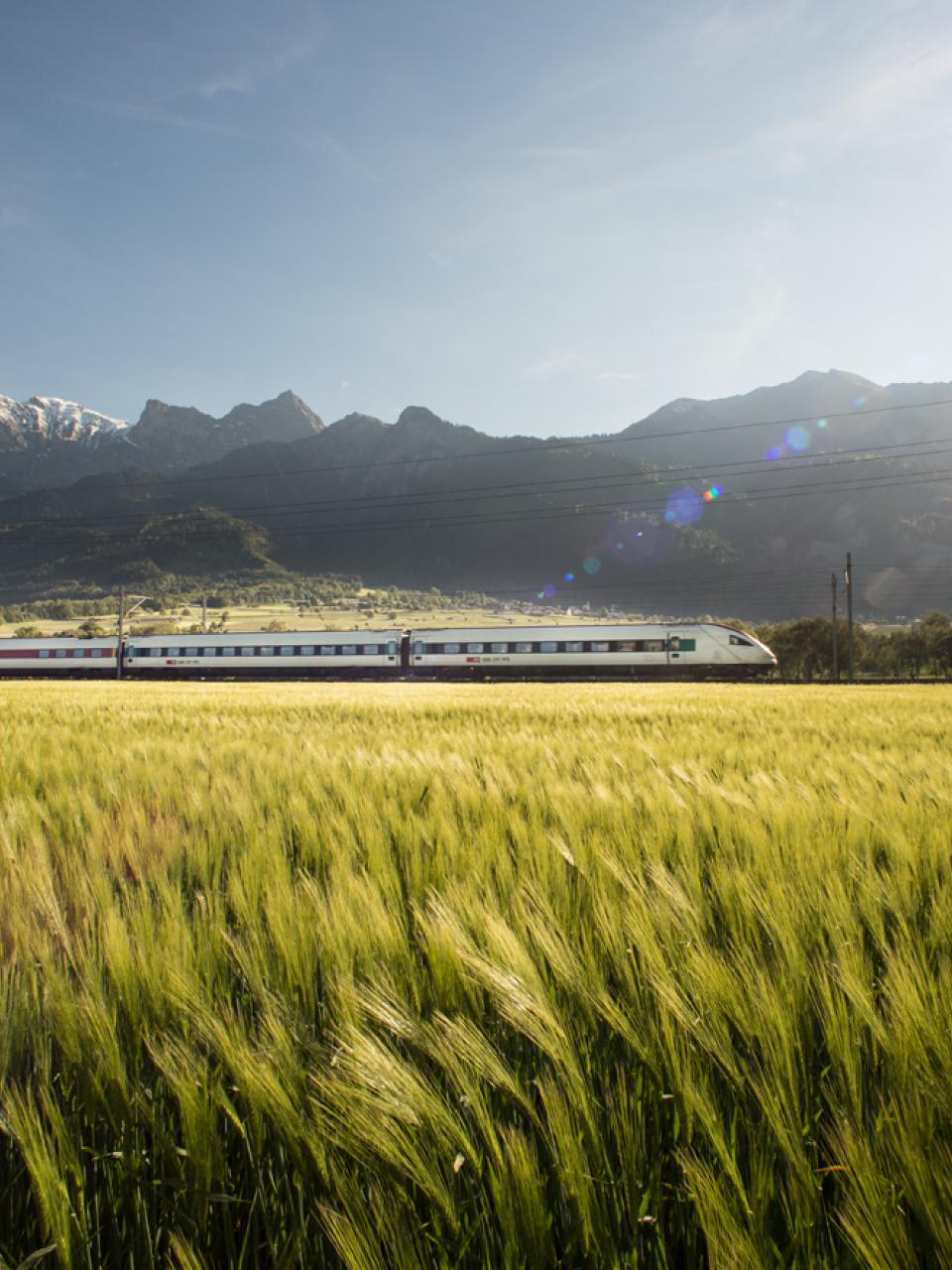 Un tren atraviesa los campos suizos