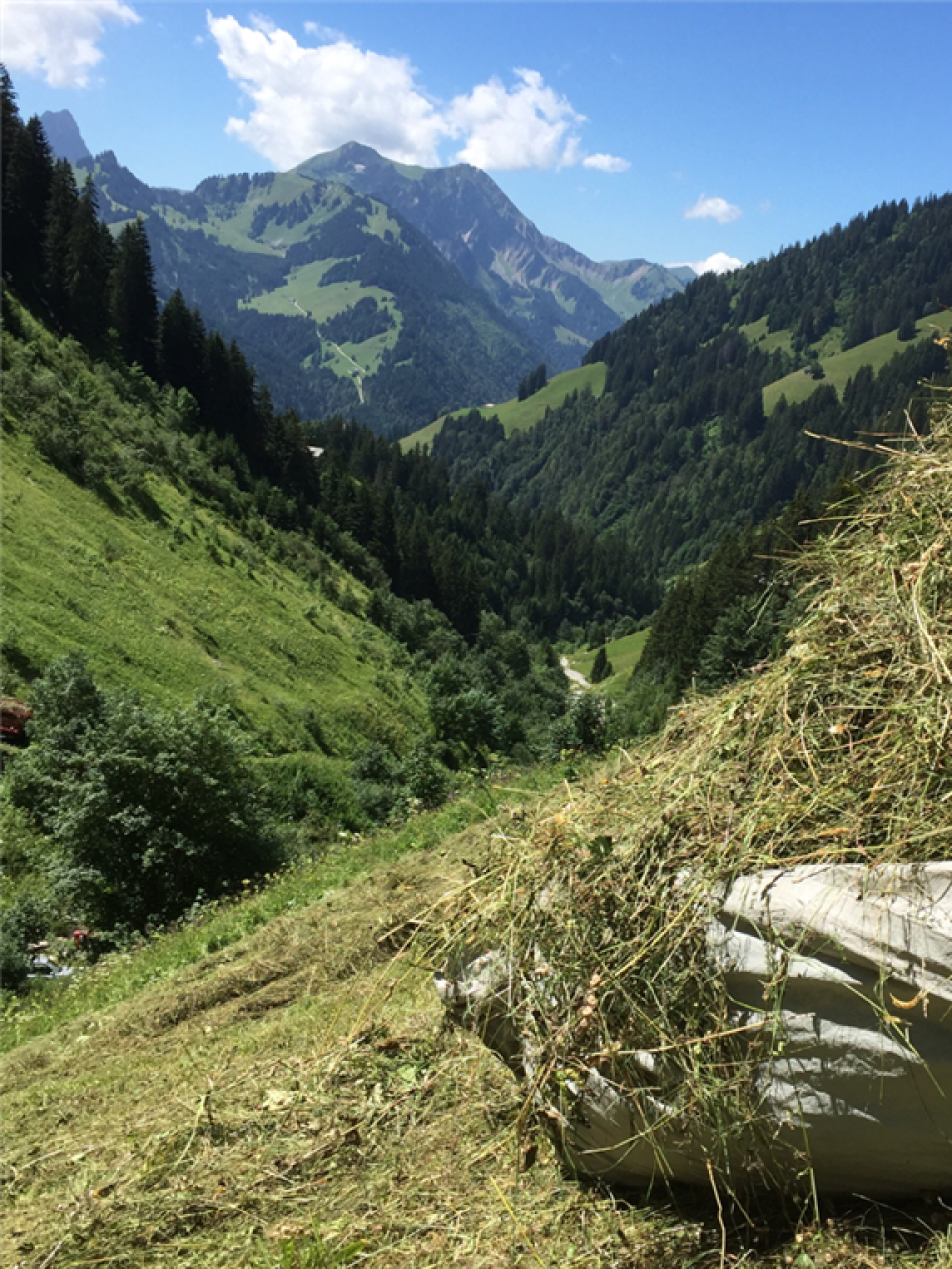 Wild hay © Luzern Tourismus