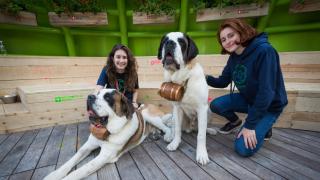 Two Presence Switzerland Guest Relations staff members with two St. Bernard dogs.